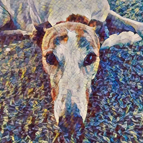 Item #113233535435930126246803406212525192330824104616936385021501681228700316598273 Media