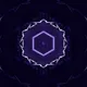 40746814509722614455855723011072046539221977106176371565967460231335368458245