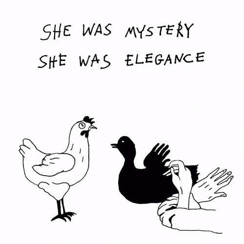 Elegance