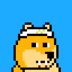 Dooggie #4353