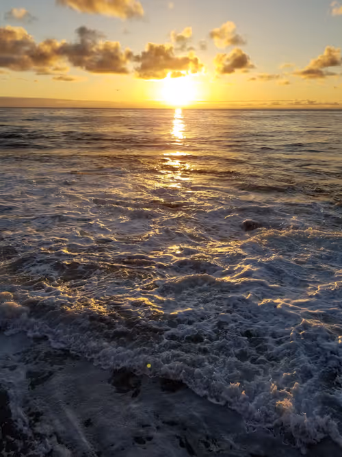 Item #36797478990227503802515544271343238965940869473164843468653790210739044089857 Media