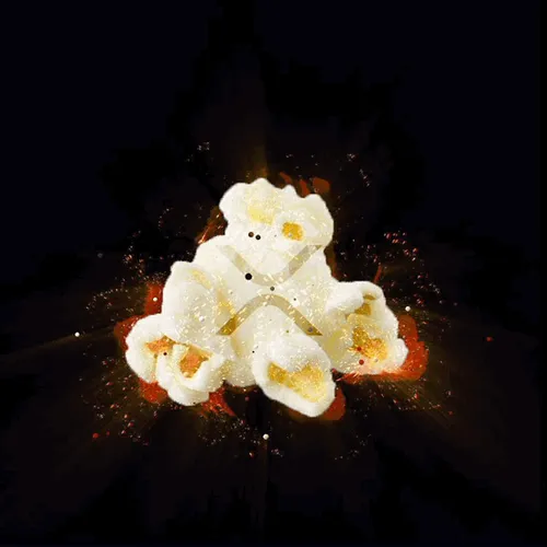 36485824513700346925635491140101516969102708701637270493589642950916849008740