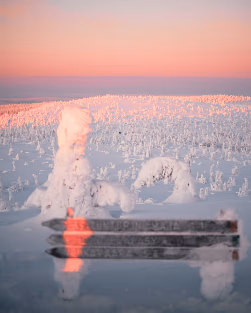 Item #85137439897558800446681939847979956921112818192745958846838338955660922716161 Media