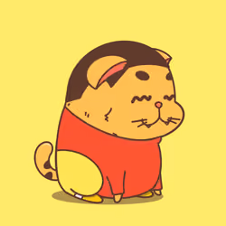 Crazy Cats Junior #00017