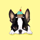 SWEET-DOG