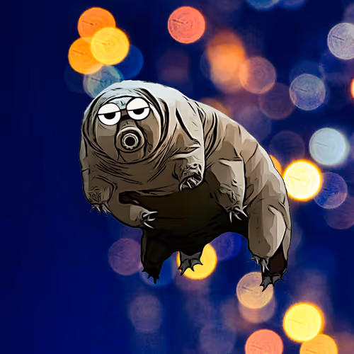 86202550248586517642199010531110464804800601482172909858196685607144077131777