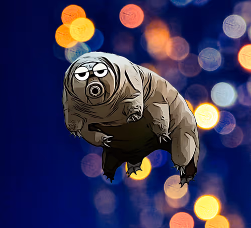 Item #86202550248586517642199010531110464804800601482172909858196685607144077131777 Media