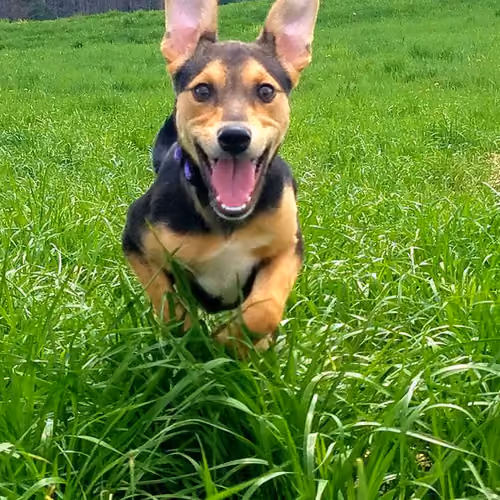 Happy Freya