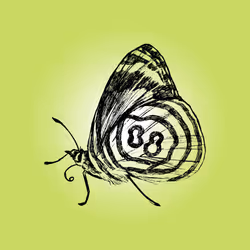 79067907305230177002014129353343413869651970885450883453575323025257827139585