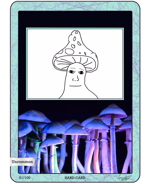 Item #64983343354440460478949369577107733247942492091796441794851447317053994696714 Media