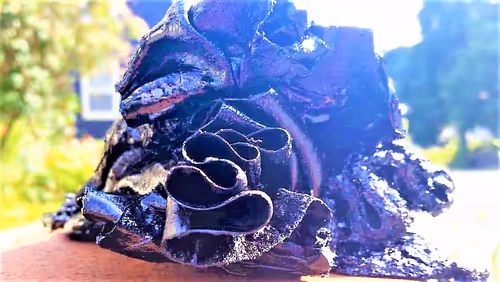 Item #92598922635435752303010459295133453103581125439958470216576148207828086030337 Media