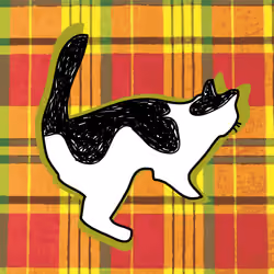 plawal VS tartan #054