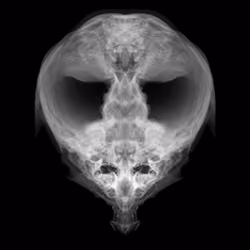Alien Embryo - 368 of 2000