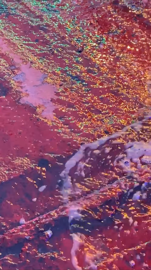 Item #62402000334580523921237358418718502457721815832787791947048085169452271796225 Media