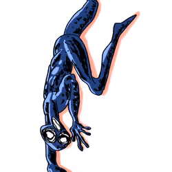 indigo 3