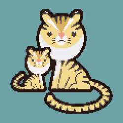 Leopard Cat 11