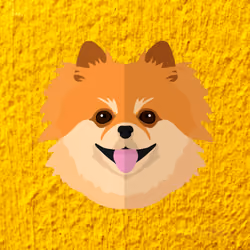 SPITZ - #0078