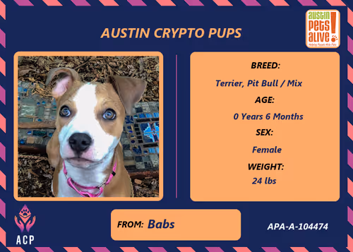 Item #17951378556605612276483806045649535824451571419947225201384628486462733549569 Media