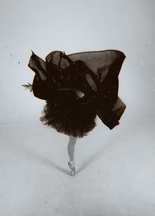 Item #36045632847233022264095028712111314978110877822794841841434272782842899464193 Media