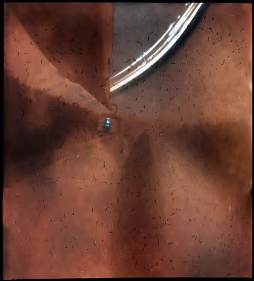 Item #2988879316739949215962448092435950075047807637106235546791651105148734799873 Media