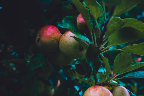 Item #5699665208779024996683959059412281030737296193224804872429037345046796435457 Media