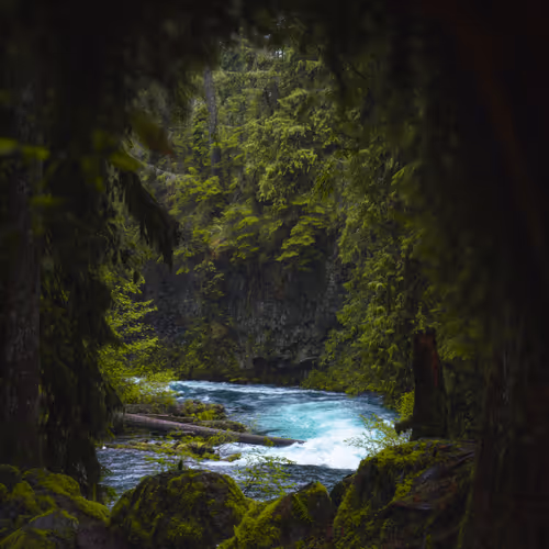 59404681870809906448390957325299961742928436828892721220786848761622707568641