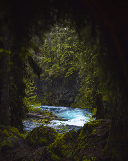 Item #59404681870809906448390957325299961742928436828892721220786848761622707568641 Media