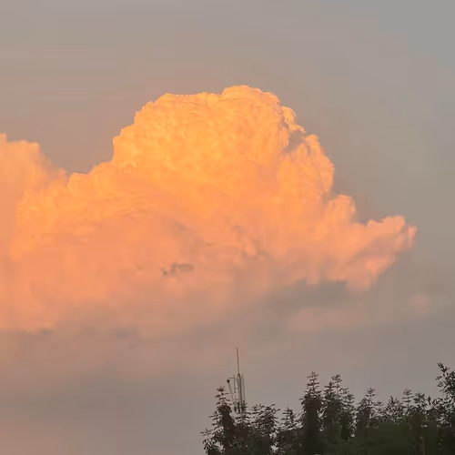 Untitled Collection #172168039