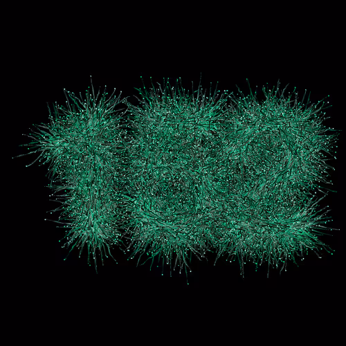 Item #31186271462743839332083495437684930572283654238385709344730711033374404771841 Media