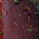 82261900084908091250953619979321190251408298339516425989916468399260599058433