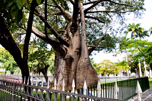 Item #79891436161549541429884862344900251113171213125295126698961100640566149906433 Media