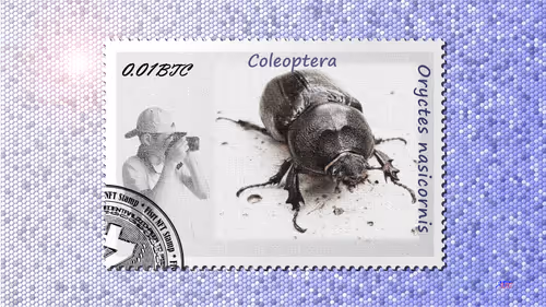 Item #105973246943151987345213410235211569025683575939462317992466355576772562518017 Media