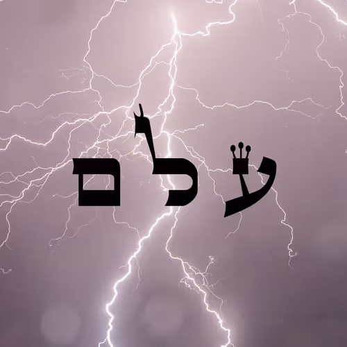 Item #60261209402415139582755570421670089329548312864668202741056927143387084095489 Media