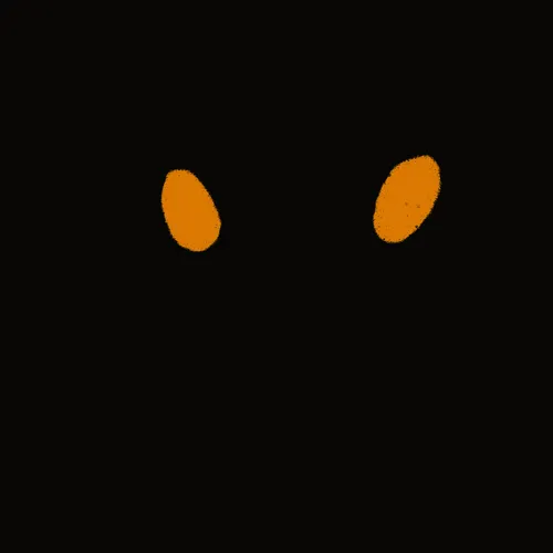 Item #80129000175045262516900472040376748380682597129636861188557959486941603823617 Media