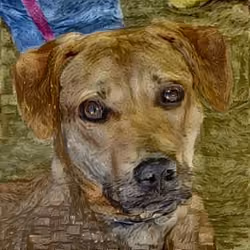 Gogh Dog #3636