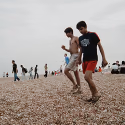 Brighton #97