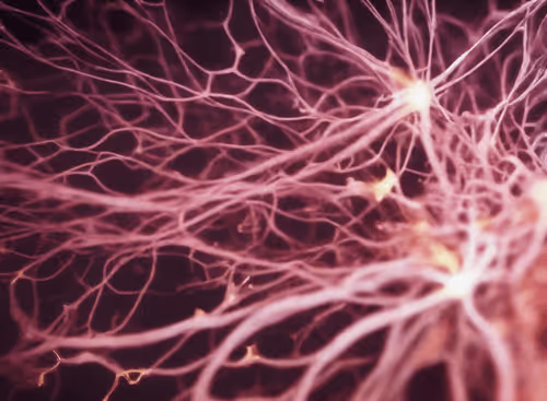 Item #98695163844141812296559601516468632585703412525772017875852753346224787030017 Media