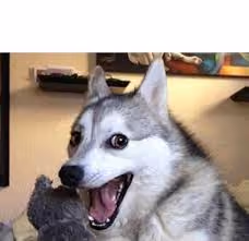 #24110993745901526346886254719332480082942363293146329176928984132651466096641