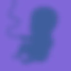 A-RV1-19 : HEADLESS