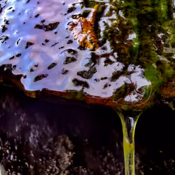 Iridescent flow
