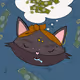 Fifty Foxes