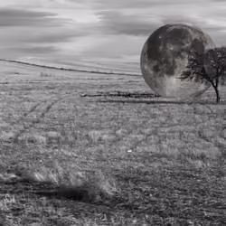 The moon escaping #05