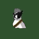 29117347487569350371961357639755981334579087268402431869315060207869258366977