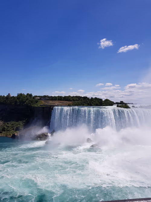 Item #20398726912547406339970687891835182810511091541282257052992388689973445918721 Media