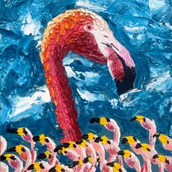 Flamingo 33