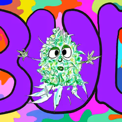 Bud 8