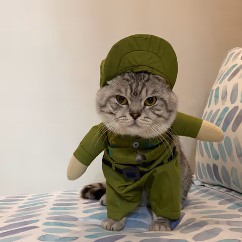 Bufficat