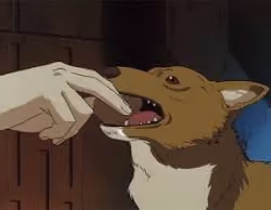 Ein Hungry