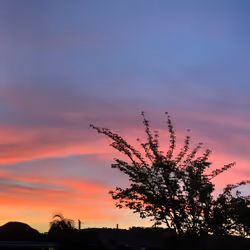 100151078309057675366159992497543003968848618159963270405575559682288837984257