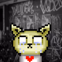 63170767654901927964852848505921354456488158057017135715885673686279093485569